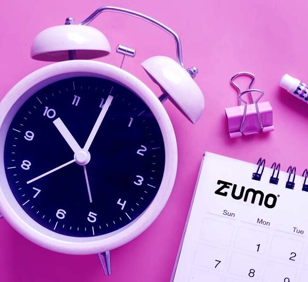 Zumo: a year in review