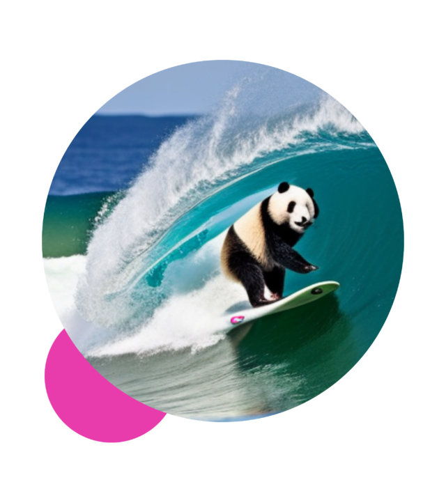 Panda Surfing